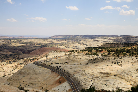 IMG_4572.jpg