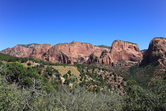 IMG_4790.jpg