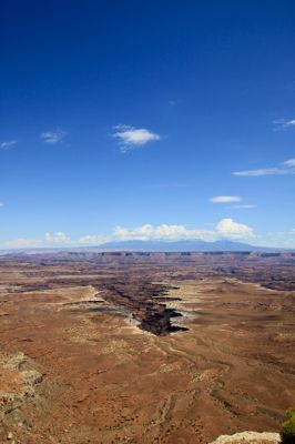 IMG_4240.jpg