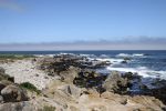 IMG_0153.jpg