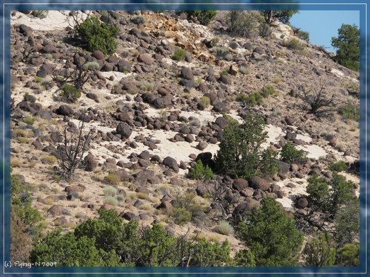 Scenic Byway 12
