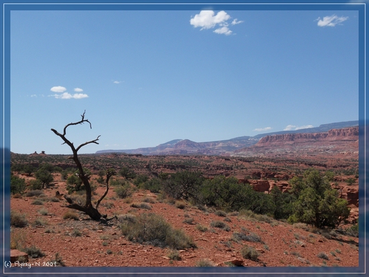 Scenic Byway 12

