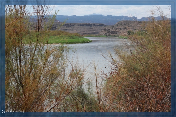 Colorado River
