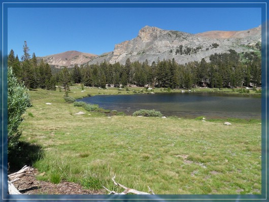 Tioga Road
