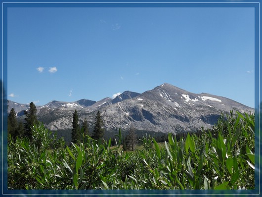 Tioga Road
