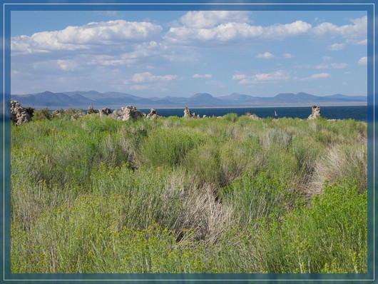 Mono Lake
