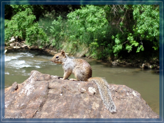 Zion NP
