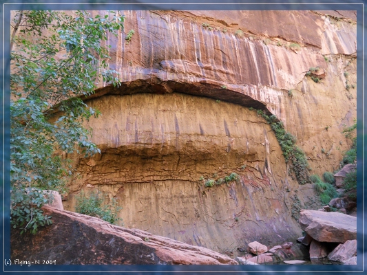 Zion NP
