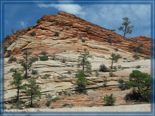 Zion
