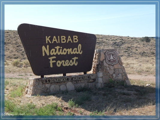 Kaibab Forest Schild
