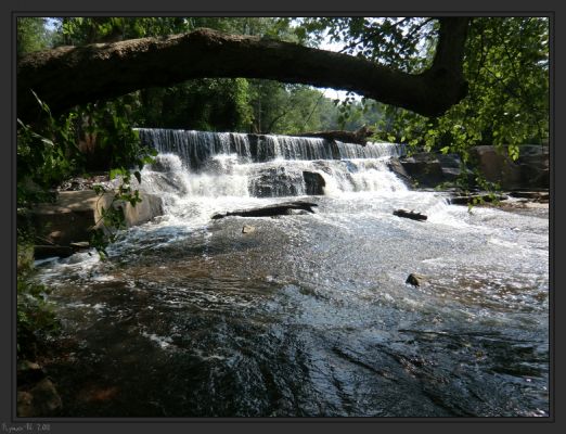 Cedar Falls

