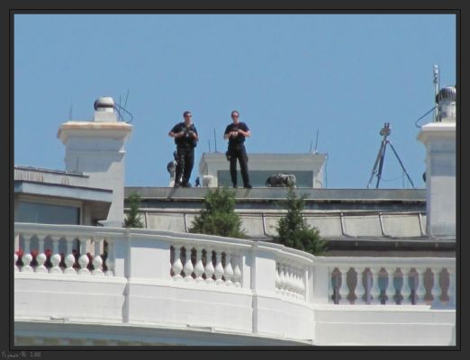 Snipers
