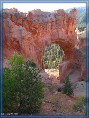 Bryce Canyon
