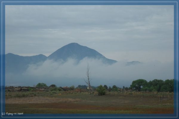 Bei Cortez
