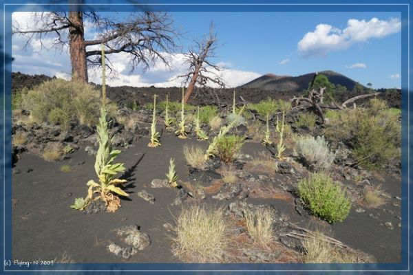 Sunset Crater
