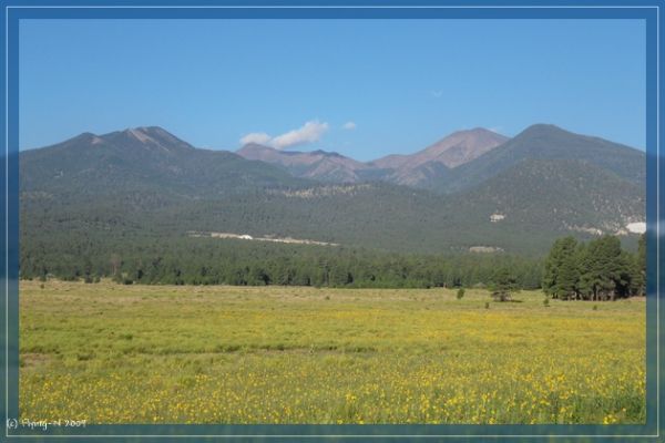 Bei Flagstaff
