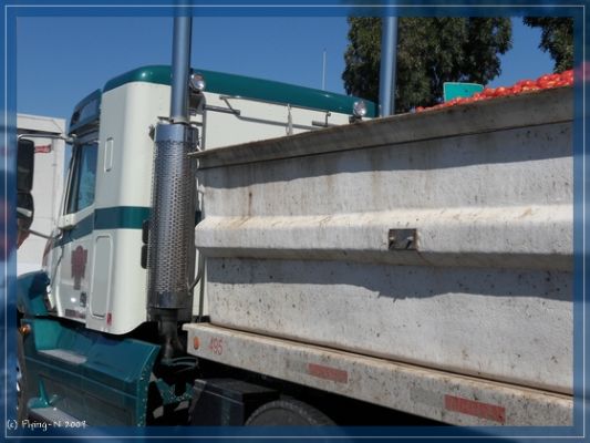 Tomaten-Truck
