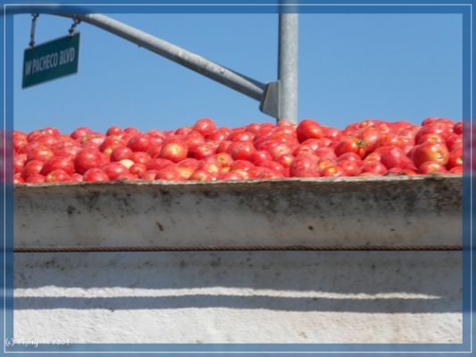 Tomaten-Truck
