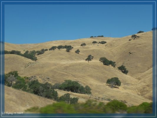 California Coast Range
