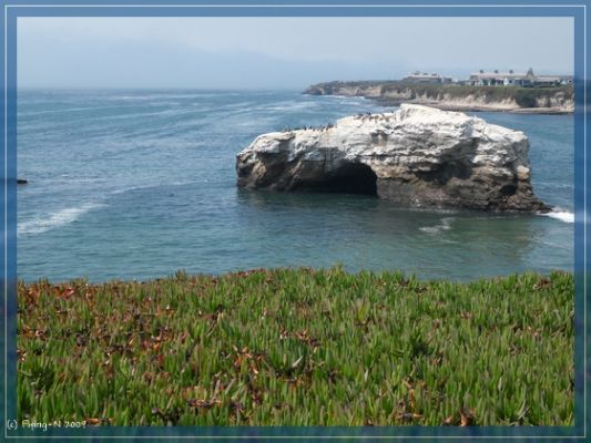 Natural Bridges SP
