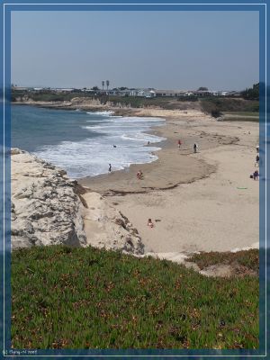 Santa Cruz
