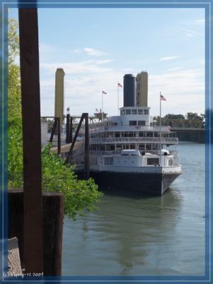 Steamer
