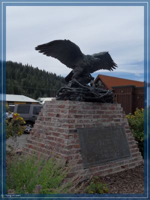 Truckee
