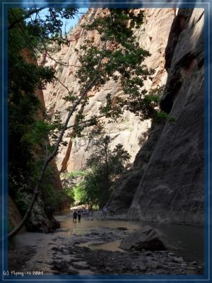 Zion - The Narrows
... oder: auf dem Weg dorthin
