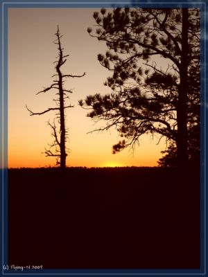 Grand Canyon Sunset
