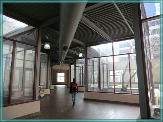 Chicago Pedway Tour
