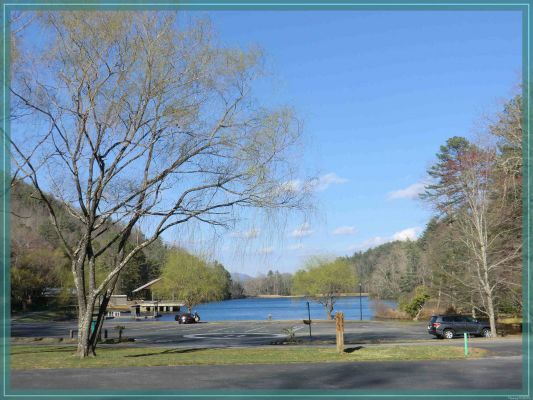 Vogel State Park

