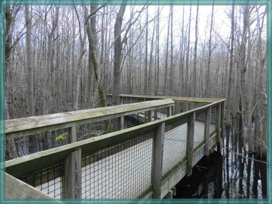 Louisiana Purchase Historic Park
