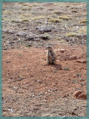 Texas Caprock Canyons State Park
