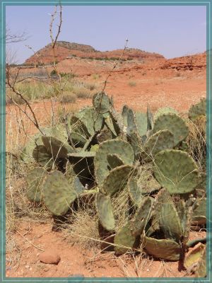 Texas Caprock Canyons State Park
