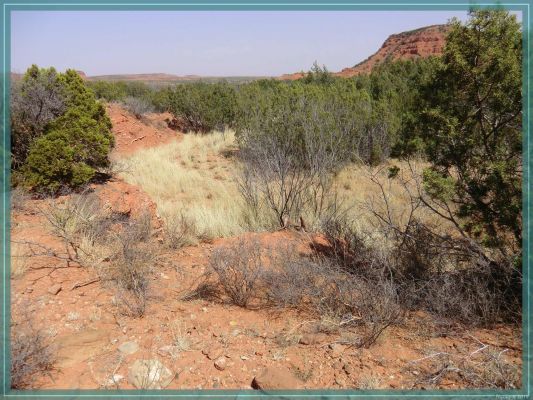 Texas Caprock Canyons State Park
