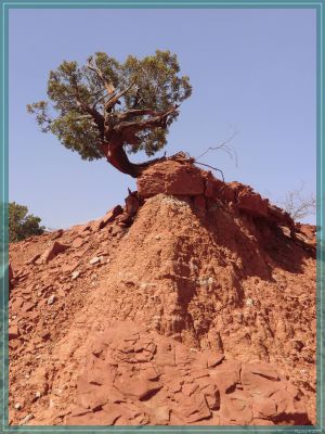 Texas Caprock Canyons State Park
