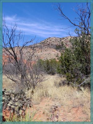 Texas Palo Duro Canyon State Park
