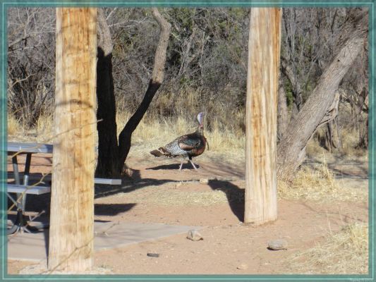 Texas Palo Duro Canyon State Park
