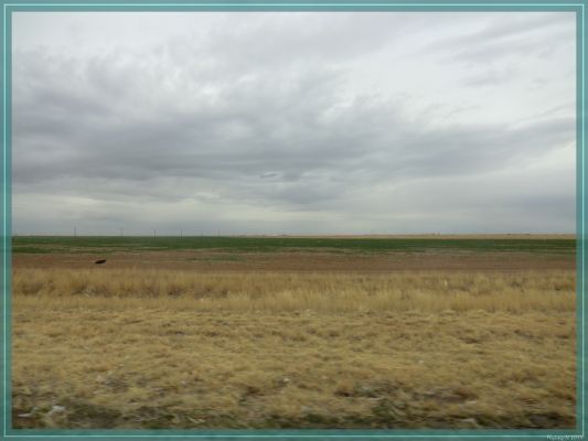 Midwest Plains
