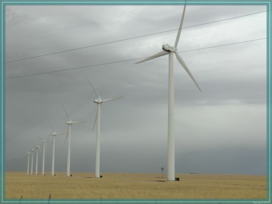 Midwest Plains
