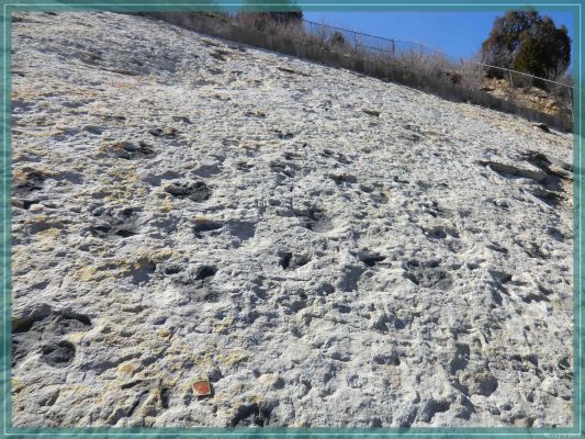 Dinosaur Ridge
