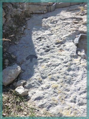 Dinosaur Ridge
