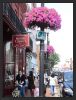 Georgetown