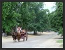 Colonial Williamsburg VA