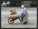 Colonial Williamsburg VA