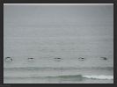 Carolina Beach