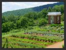 Monticello Gemüsegarten