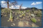 Sunset Crater