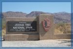 Joshua Tree Schild