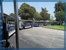 Studio Tour Train